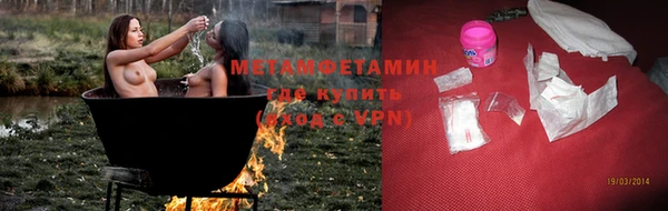 стаф Осинники