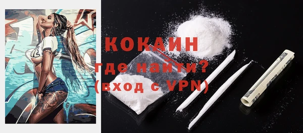 круглые Пересвет