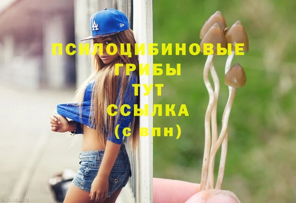 амф Абдулино