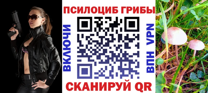 Галлюциногенные грибы Psilocybine cubensis  Екатеринбург 