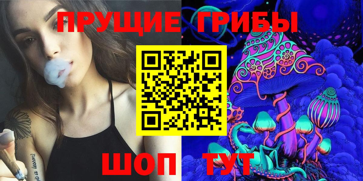 Галлюциногенные грибы Magic Shrooms  Псилоцибиновые грибы GOLDEN TEACHER  Вход с VPN  Екатеринбург 